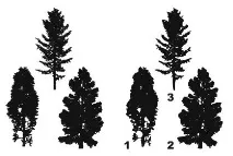 vector lessons