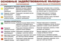 Тяга штанги до підборіддя качати шию качати плечі штанги