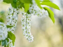 Укуси комарів -лікування та попередження комарів