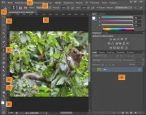 Фотошоп для початківців інтерфейс Photoshop Photoshop
