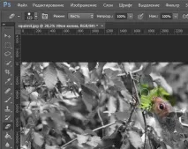 Фотошоп для початківців інтерфейс Photoshop інтерфейс