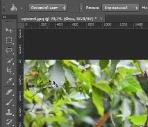 Фотошоп для початківців інтерфейс Photoshop початківців