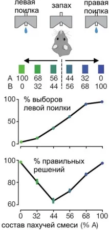 вчинків