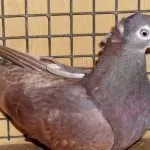 ігрові