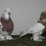 ігрові