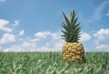 вічно