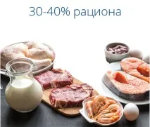 котки стара