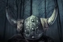 никога викингите