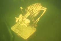 почивния