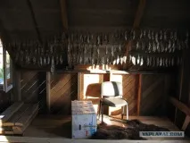 вместо риба започнаха риба започнаха