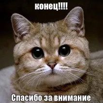 вобла вобла