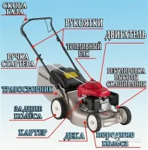 Вибір бензинової газонокосарки поради від професіоналів поради