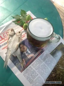 ходор вобла