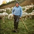 Ханта - пошук слів за маскою та визначенням, відповіді на сканворди пошук