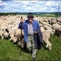 Ханта - пошук слів за маскою та визначенням, відповіді на сканворди ханта