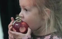 яблучна