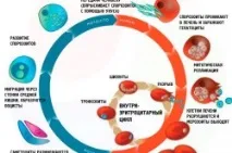 инструкции инструкции