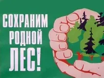 горско стопанство живот