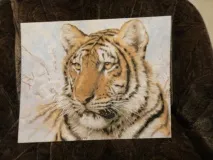 искам рисувам