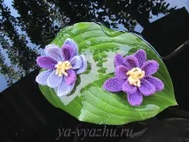 подробно цветя