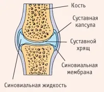 правда