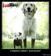 уазу