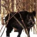 Позика у банку () 5 букв - пошук слів за маскою та визначенням, відповіді на сканворди банку