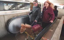 Освен това животни