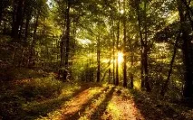 Значення кольорів у психології приклади значення