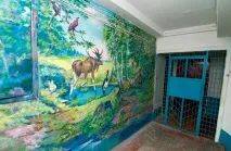 Живе казка у під’їзді, або Незвичайні під’їзди незвичайні
