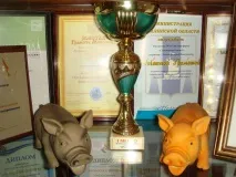 Сахалінський бекон значок значок