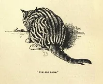 Felis