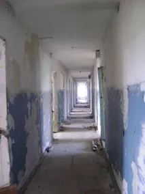 всяка стая азот