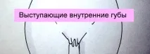 жіночі