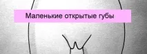 статеві