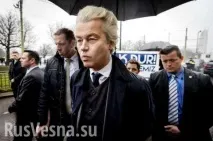 4 факти, які важливо знати про вибори у Нідерландах, українська весна вибори