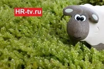 7 типів підлеглих, які ніколи не просунуться у кар’єрі ніколи