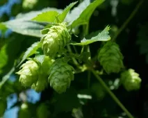 agro2b информационен