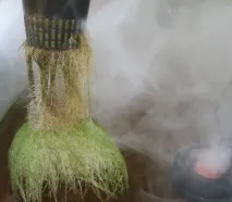 Агрономічний план для вирощування, добрива,flora, агрономічний план, аеропоніка, добрива