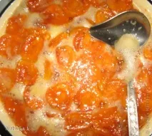 кайсийски кайсийски
