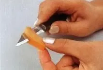 Кавуновий павич павич