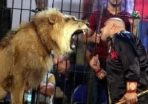 Алергія на очах, відповіді лікарів, консультація лікарів