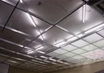 тавани видове