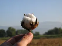 лечения лечения