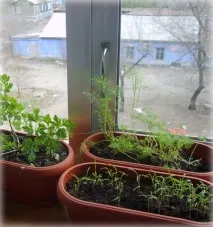 балкони балкони