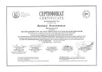 борисович борисович