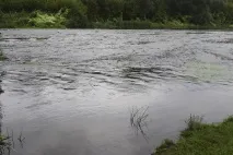 спінінг