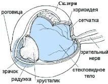 лечение чрез