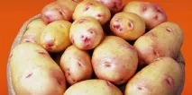картофи съвети