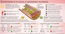 понижаващи холестерола